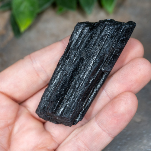 Black Tourmaline #6
