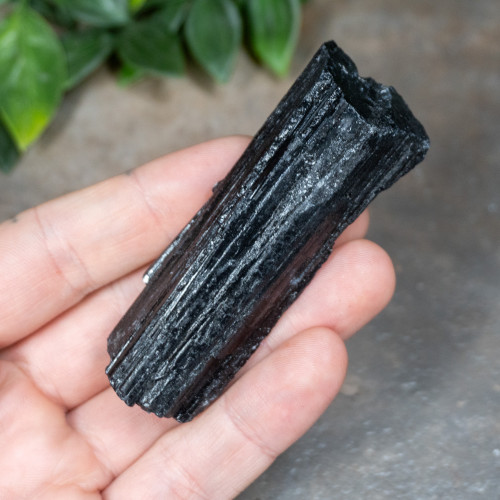 Black Tourmaline #5