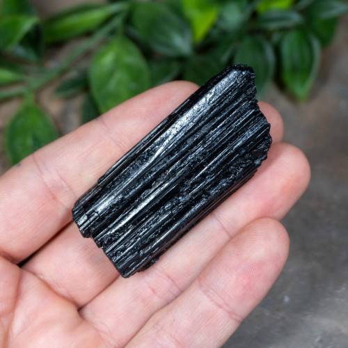 Black Tourmaline #3