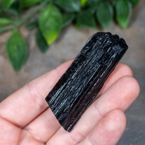 Black Tourmaline #2