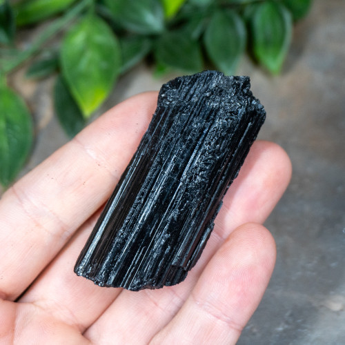 Black Tourmaline #1