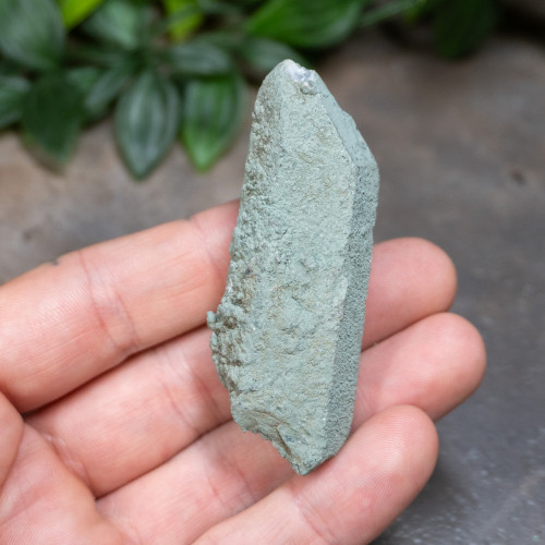 Chlorite on Quartz #19