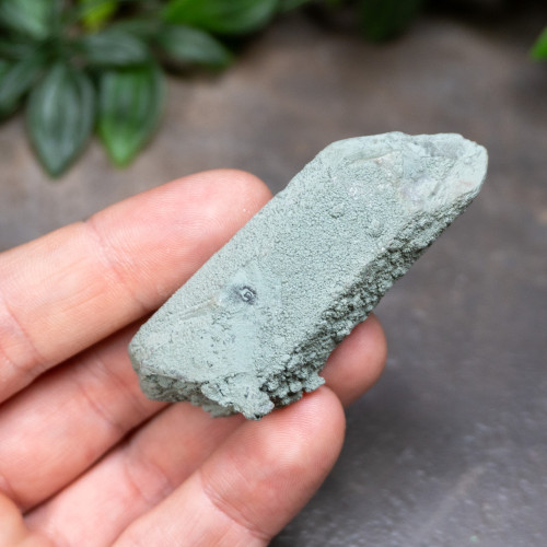 Chlorite on Quartz #19