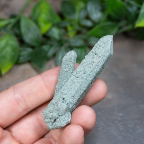 Chlorite on Quartz #18