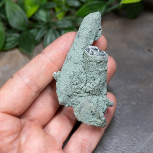 Chlorite on Quartz #17