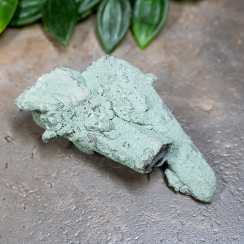 Chlorite on Quartz #17