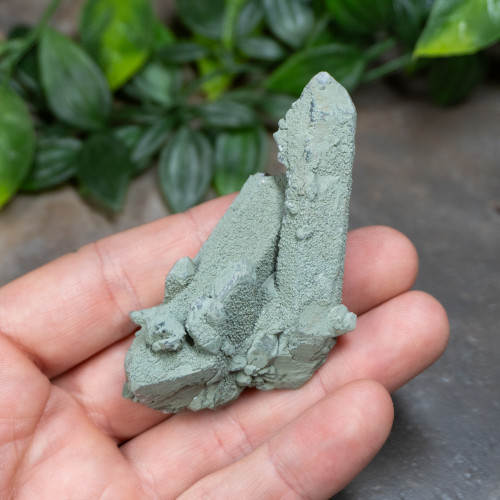 Chlorite on Quartz #17