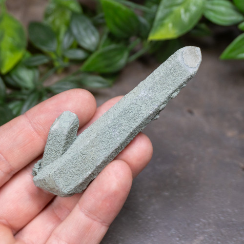 Chlorite on Quartz #16