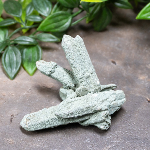 Chlorite on Quartz #15