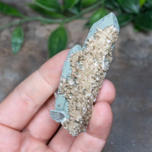 Chlorite on Quartz with Dolomite #14