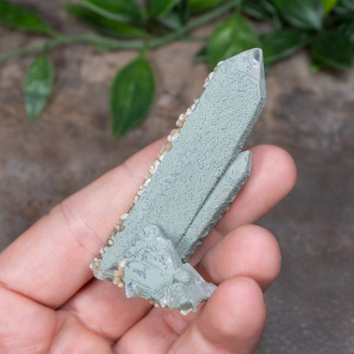 Chlorite on Quartz with Dolomite #14