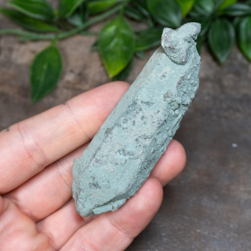 Chlorite on Quartz #13