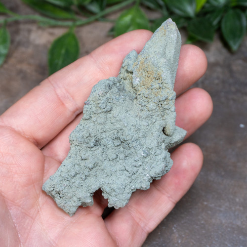 Chlorite on Quartz #11