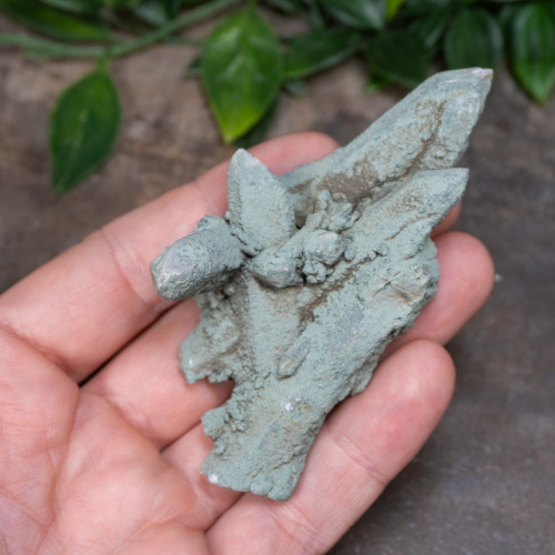 Chlorite on Quartz #11