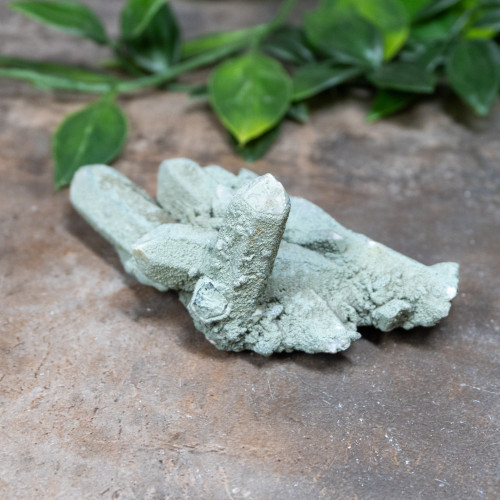 Chlorite on Quartz #11