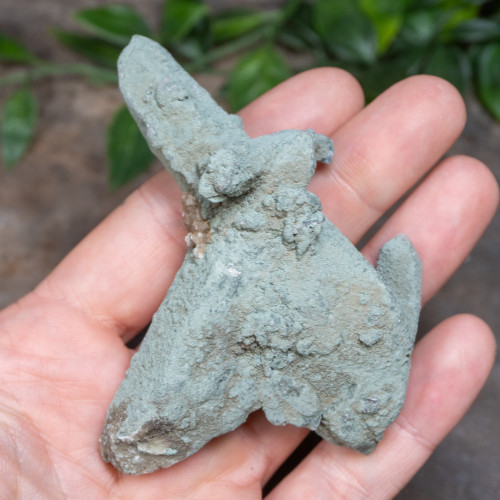 Chlorite on Quartz #9