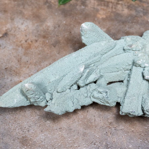 Chlorite on Quartz #3