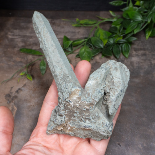 Chlorite on Quartz #2