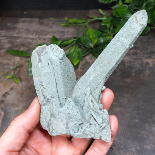 Chlorite on Quartz #2