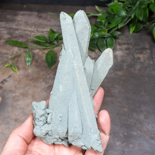 Chlorite on Quartz #1