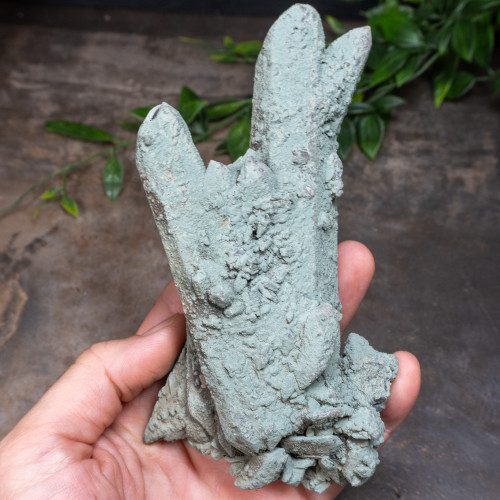 Chlorite on Quartz #1