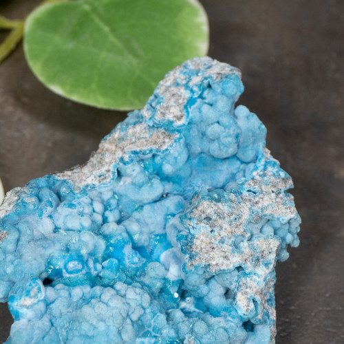Botryoidal Blue Hemimorphite #1