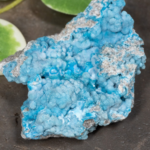 Botryoidal Blue Hemimorphite #1