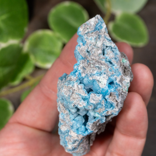 Botryoidal Blue Hemimorphite #1