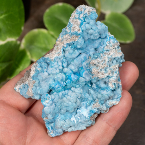 Botryoidal Blue Hemimorphite #1