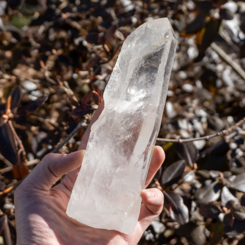 Large Lemurian Quartz Point #1