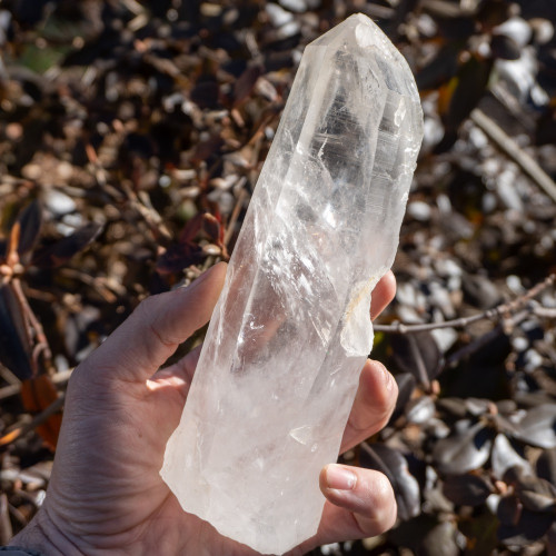 Large Lemurian Quartz Point #1