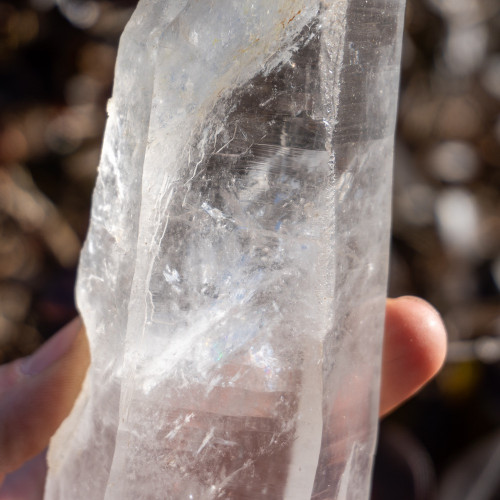 Large Lemurian Quartz Point #1