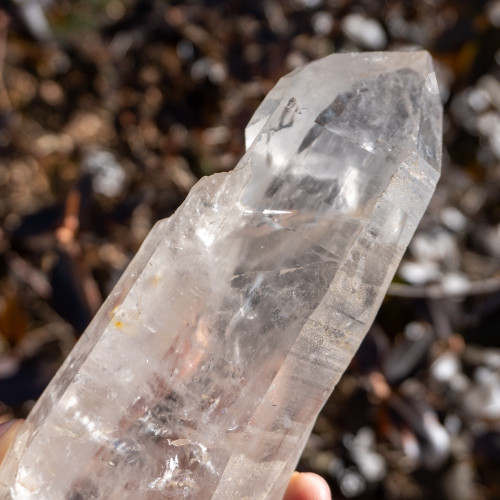 Large Lemurian Quartz Point #4