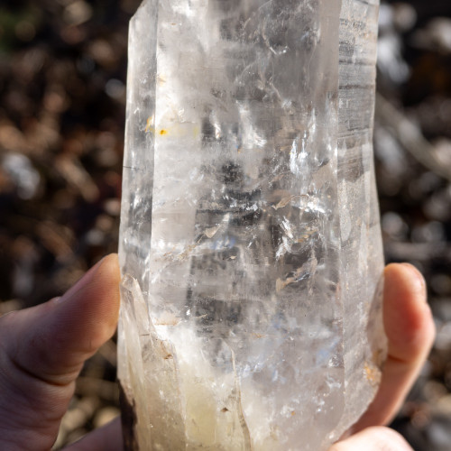 Large Lemurian Quartz Point #4