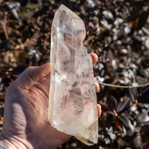 Large Lemurian Quartz Point #4