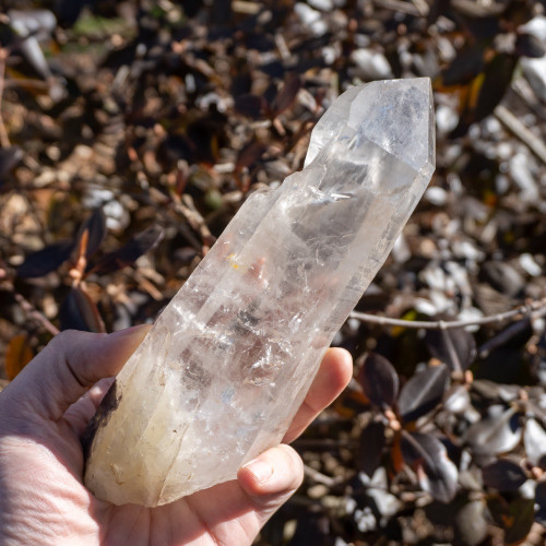 Large Lemurian Quartz Point #4