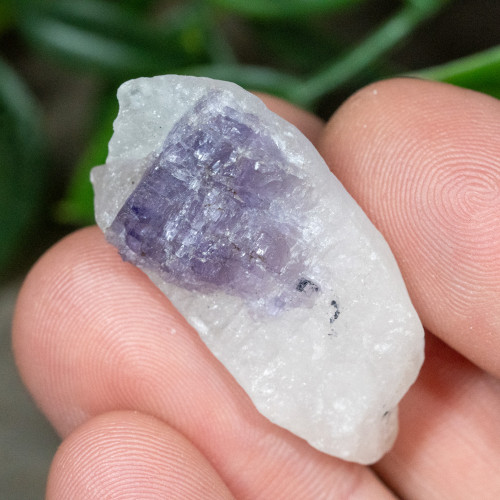 Purple Scapolite #7