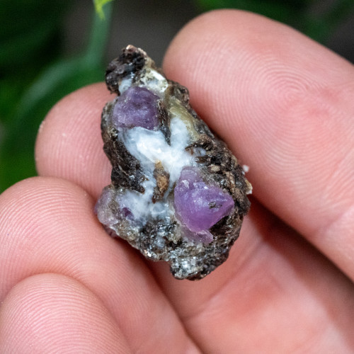 Purple Scapolite Raw #1