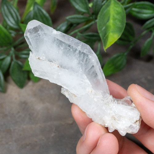 Faden Quartz #16