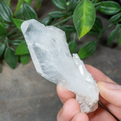 Faden Quartz #16