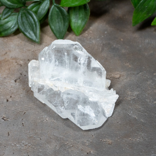 Faden Quartz #13