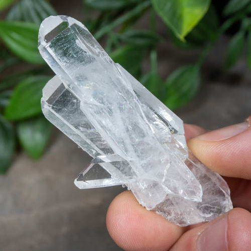 Faden Quartz #12