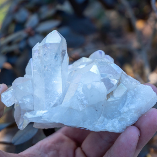Angel Aura Quartz Point #5