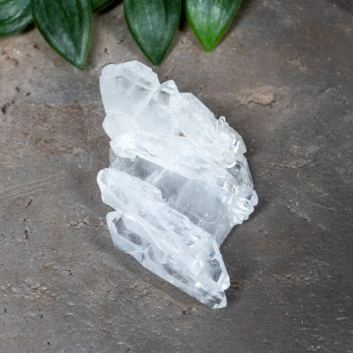 Faden Quartz #7