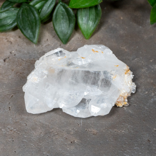 Faden Quartz #8