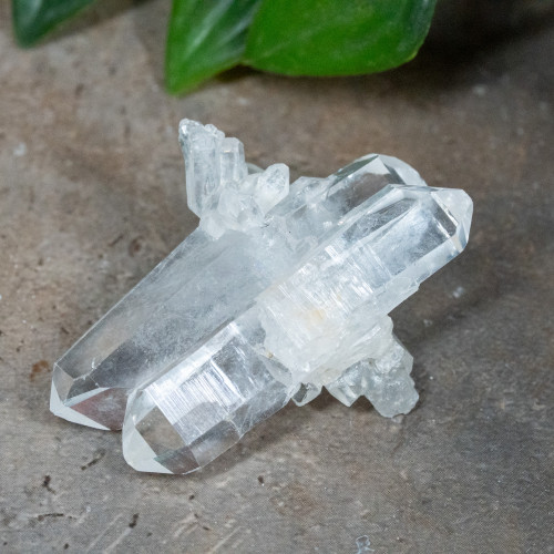 Faden Quartz #19