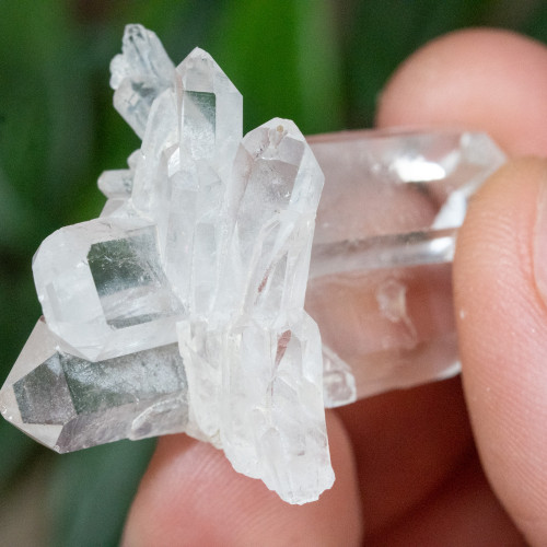Faden Quartz #19