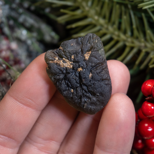 A Grade Moldavite #8 (12.6 grams)