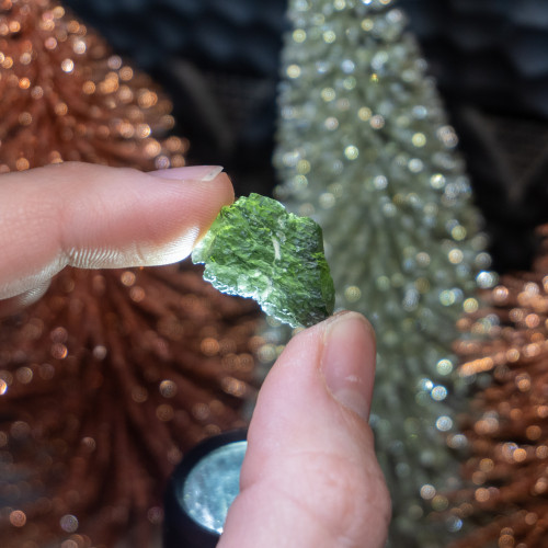 B Grade Moldavite #1 (4.8 grams)