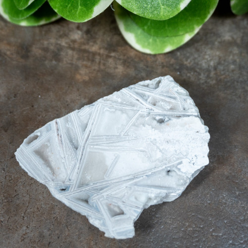 Lattice Lace Agate #4